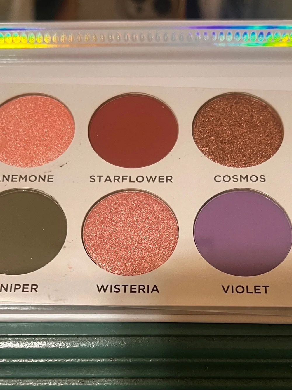 Ace Beauté Violet Sage Eyeshadow Palette — Purple, Green, Peach, Copper